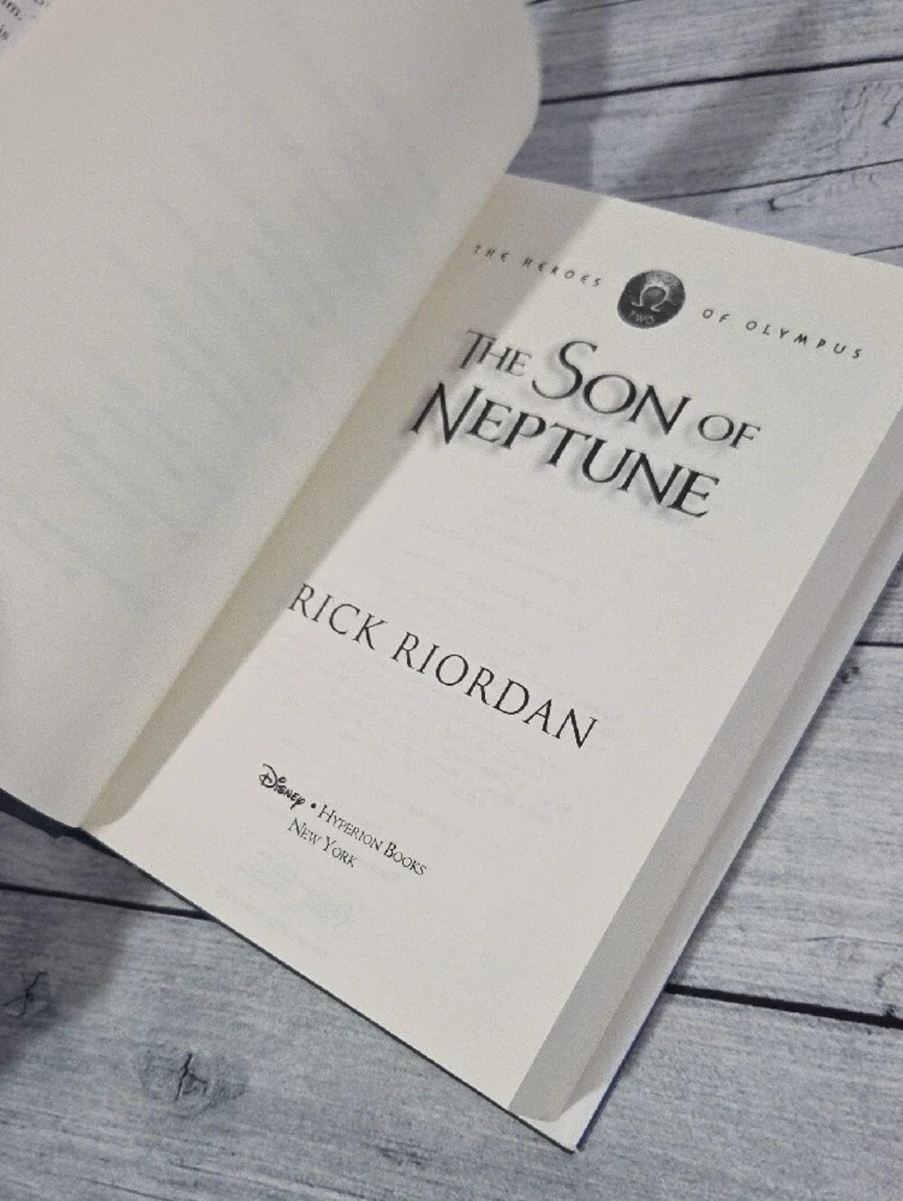 Heroes Of Olympus Book 2 The Son of Neptune by Rick Riordan Hardcover